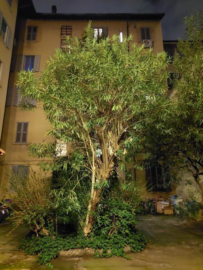 Studio Donatello Milan Luaran gambar